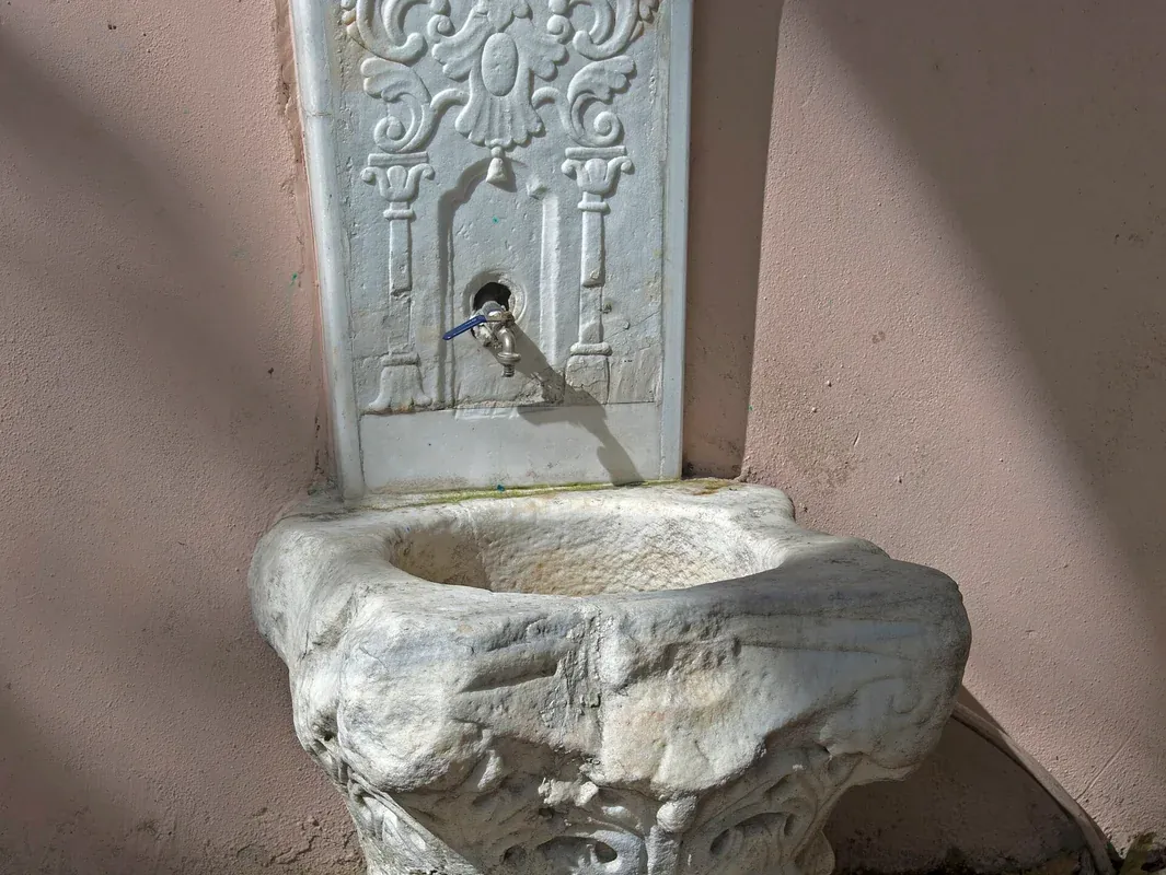 مسجد زال محمود باشا