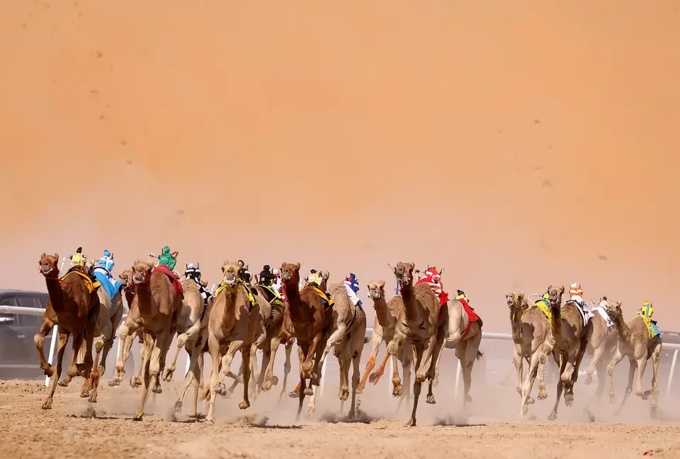Liwa International Festival, Abu Dhabi
