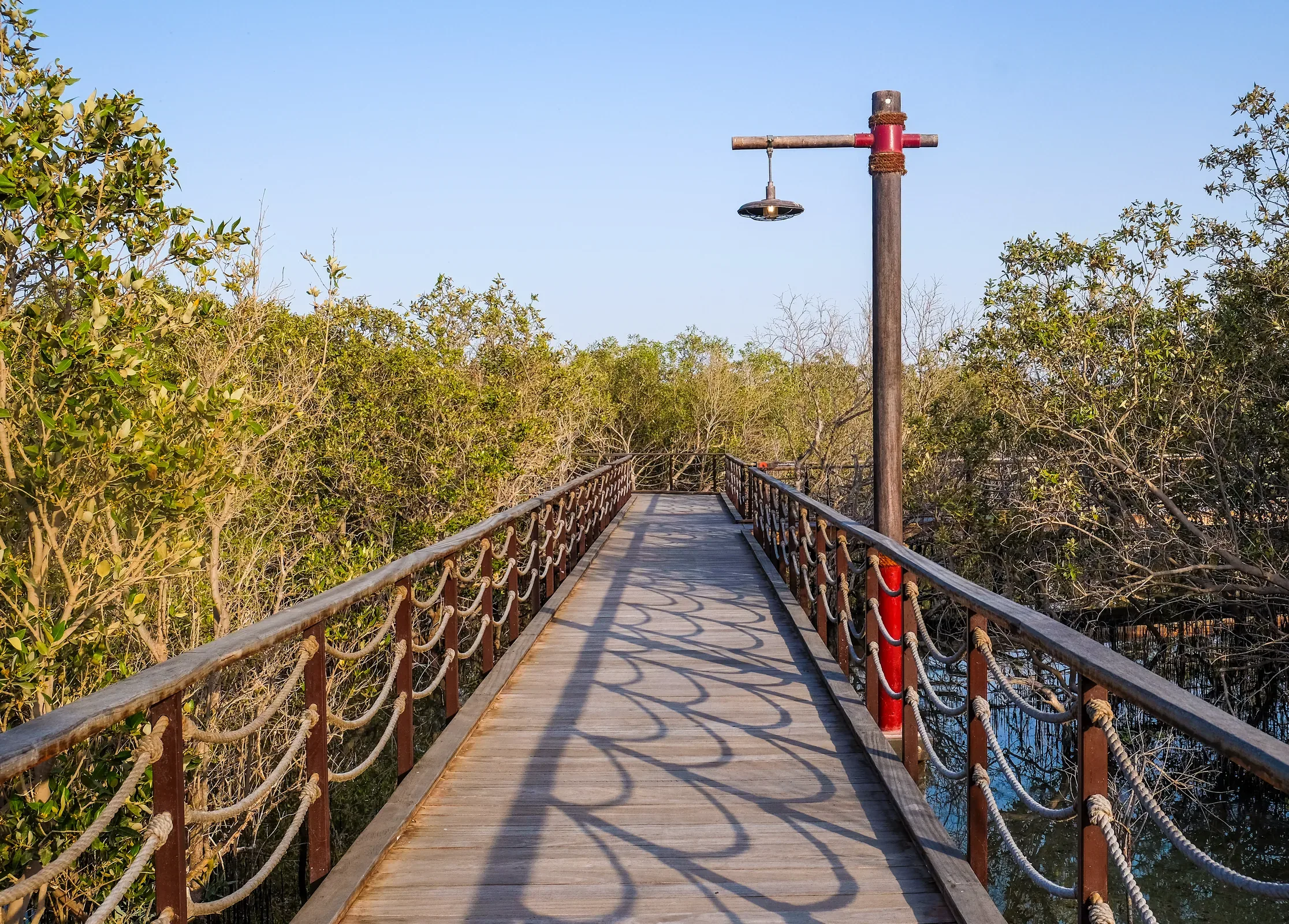 Jubail Mangrove Park, Abu Dhabi