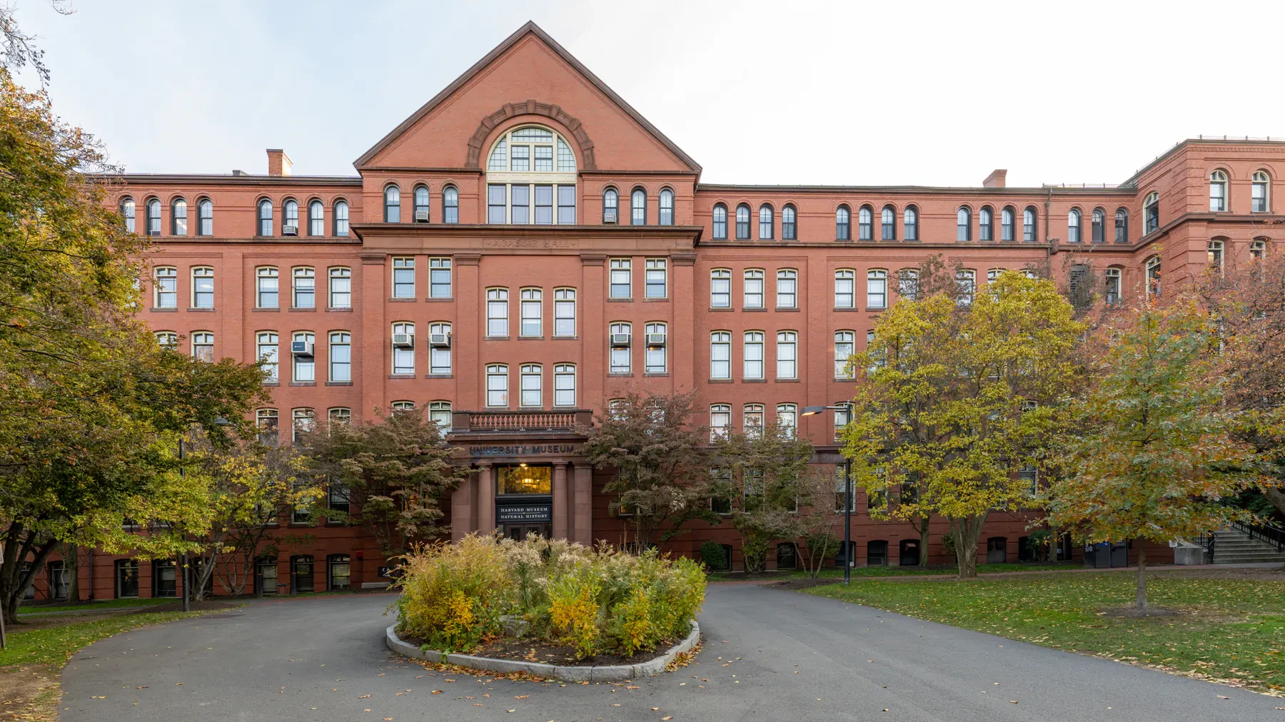 Harvard Museum of Natural History, Boston