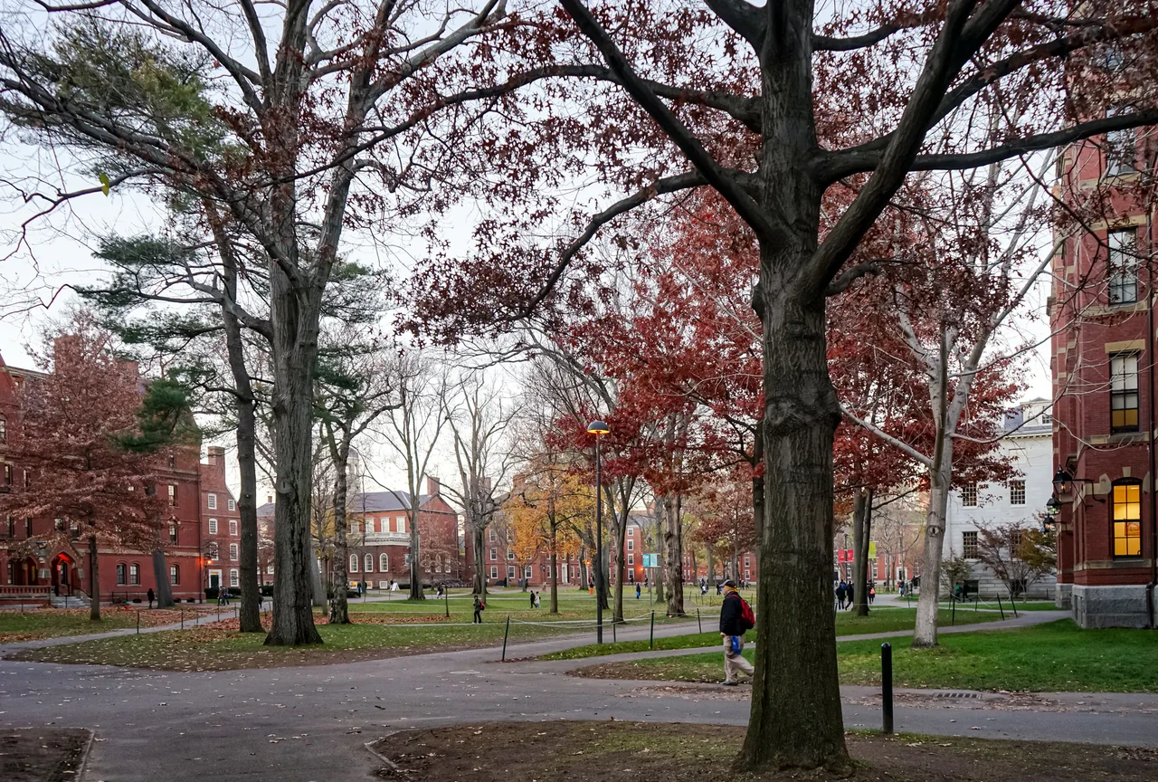 Universities, Halal Food, Museums, and Shopping