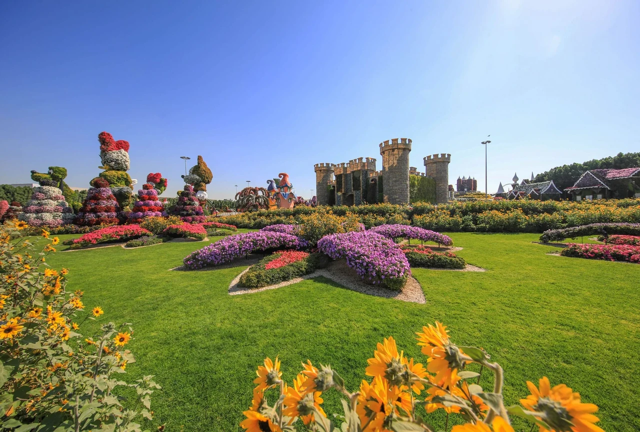 Floral displays at Dubai Miracle Garden