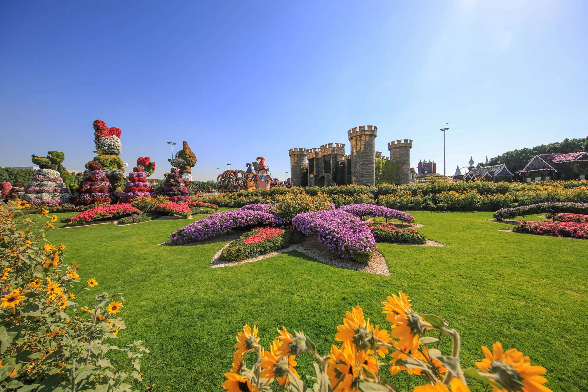 Floral displays at Dubai Miracle Garden