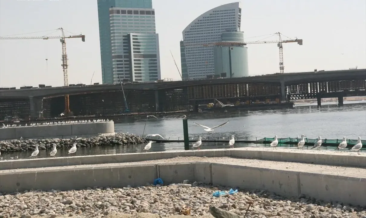 إنتركونتيننتال دبي فستيفال سيتي