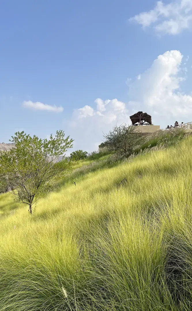 Hatta Hill Park in Dubai