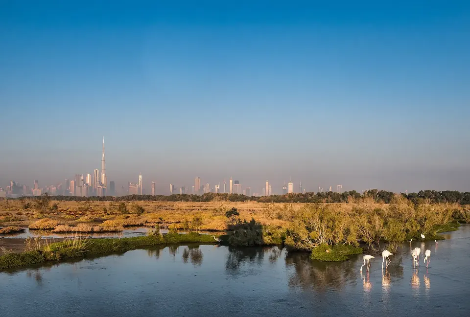 Ras Al Khor Wildlife Sanctuary, Dubai
