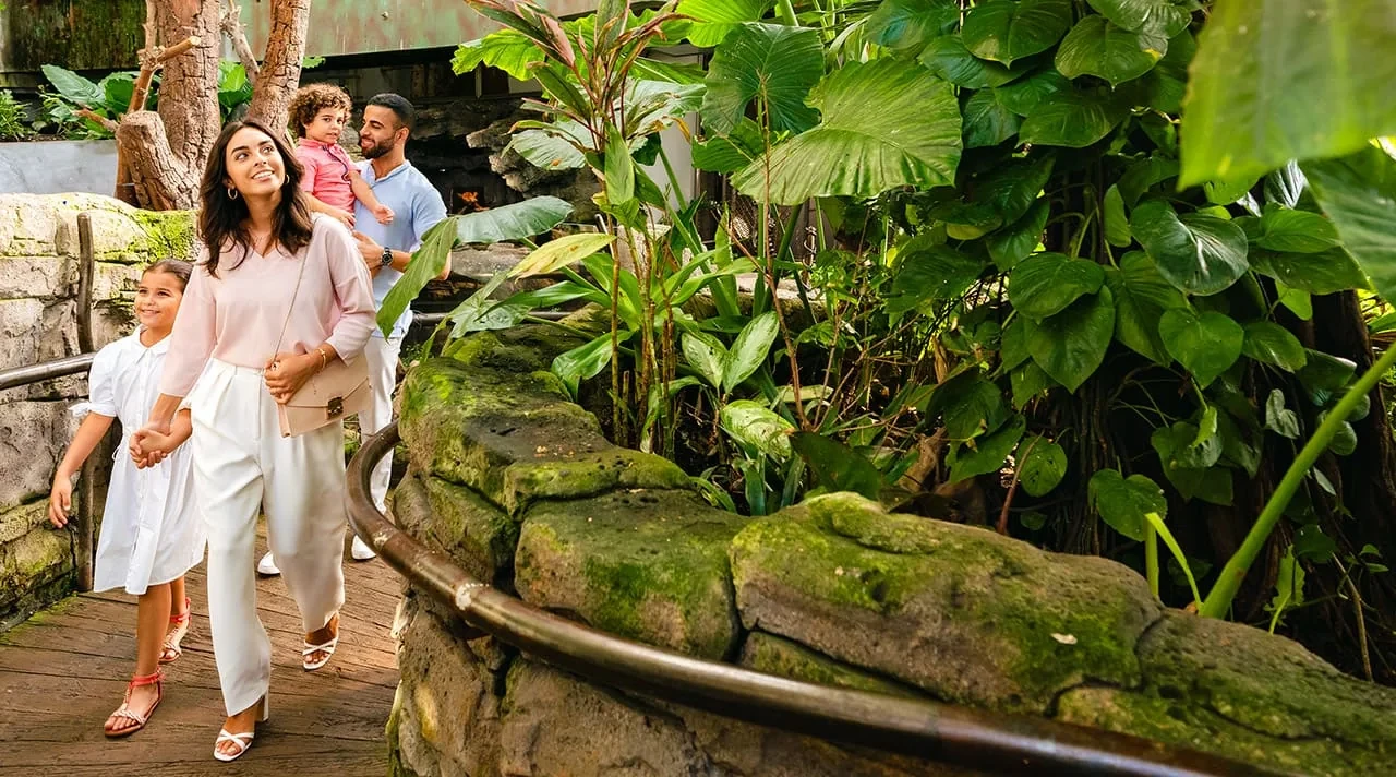 The Green Planet biodome in Dubai