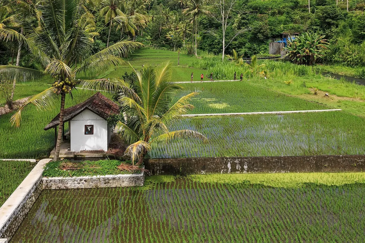 W Bali Seminyak package with Emirates flights, breakfast, and early-booking savings
