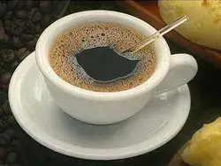 مقهى ساجار