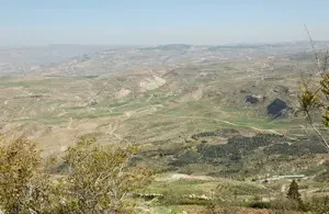 جبل نيبو