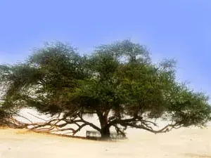 شجرة الحياة