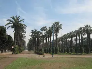 حديقة جامعة الدول العربية