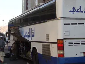 الحافلات