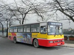 Buses