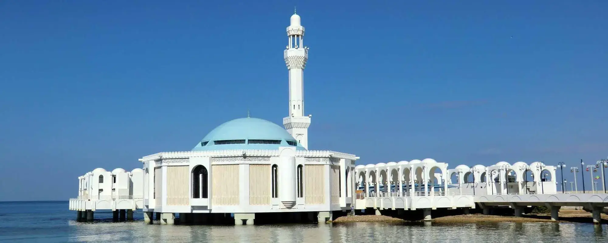 معلومات سريعة