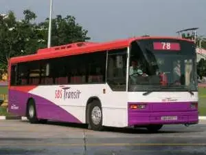 Buses Singapore