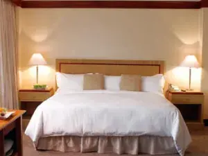 تاماناكو إنتركونتيننتال