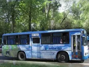 Buses