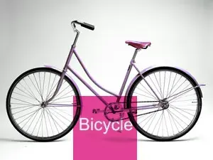 Bicycle 2011