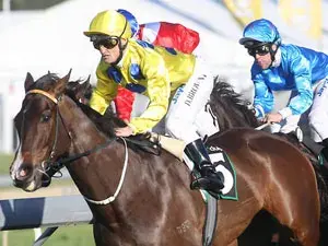 Queensland Winter Racing Carnival