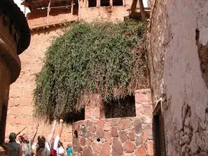 Burning Bush - sharam el sheikh