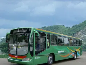 Buses