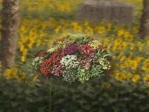 مهرجان حديقة السياحة