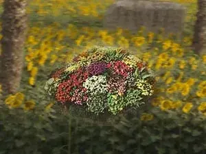 مهرجان حديقة السياحة