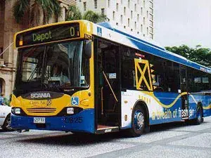 Buses