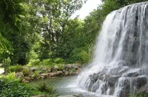 Iveagh Gardens