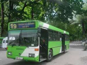 Buses