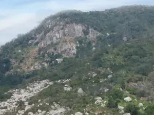 مهرجان نوي با