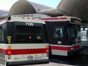 Buses