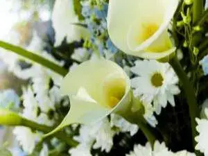 تودوس لوس سانتوس (عيد كل القديسين)