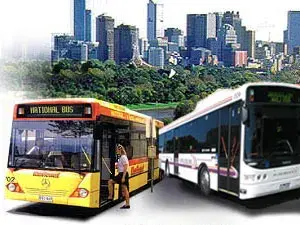 Buses