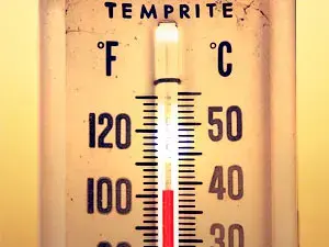 Annual Temperature