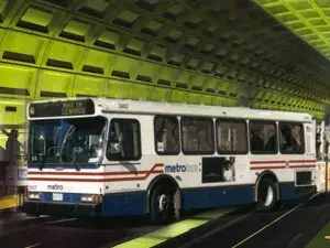Bus