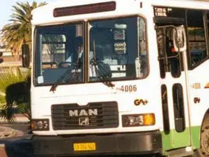 Buses