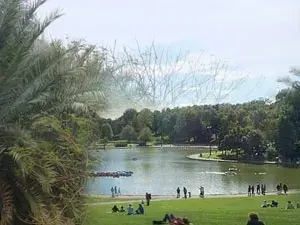 بارك دو مونت رويال