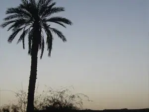 الجولات السياحية