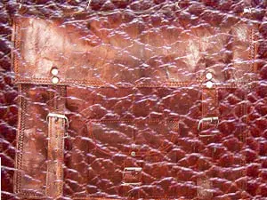 معرض البضائع الجلدية الدولي