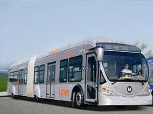 Buses
