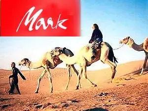 Mark Tours