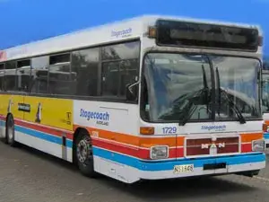 Buses