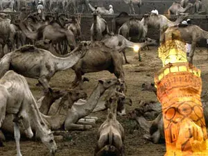 عيد الأضحى