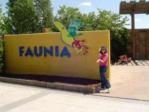 ماذا تفعل بصحبة الأطفال في المدينة