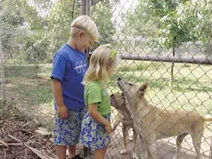 Taronga Zoo Australia