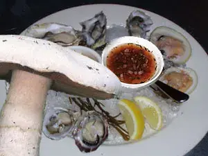 شيز كارولين