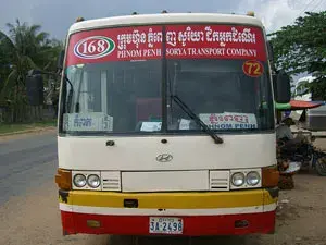 Buses