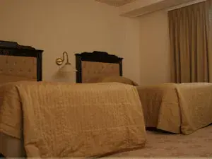 فندق كراون بلازا